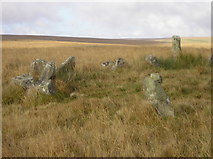 SX6364 : Stone circle above Erme Plains by Chris Andrews