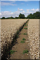 Footpath to Belchanp Otten