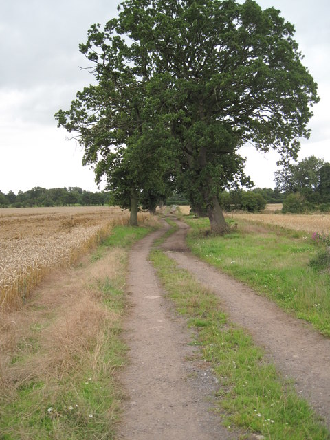 Farm Track south of Guilden Sutton
