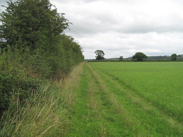Longster Trail near Norton's Lane