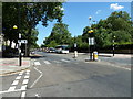 TQ3179 : Zebra crossing nearing the Imperial War Museum by Basher Eyre