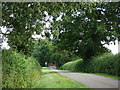 Hollis Lane approaching Kenilworth