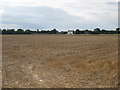 Ellers Cottage from across the field