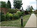 Farnham Museum Garden (1)