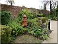 Farnham Museum Garden (3)