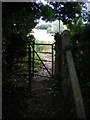 Kissing Gate - Near Ingham