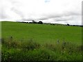 Leckpatrick Townland