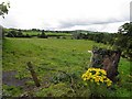 Ballymagorry Townland