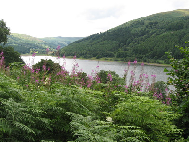 Talybont Reservoir, glimpsed from the Taff Trail