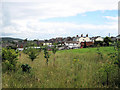 Field between Tunstall Road and Meadows Way