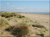 TR0821 : Dunes at Greatstone On Sea by Oast House Archive