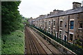 Houses backing onto the railway