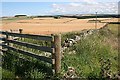 Fields, Dyke and Fence