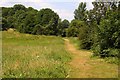 Pathway across Deddington Castle