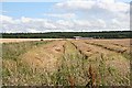 Looking towards Auchmillie