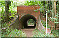 Bridge over footpath