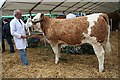 Turriff Show 2010 (16)