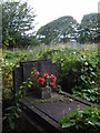 Overgrown Churchyard