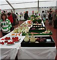 Turriff Show 2010 (32)