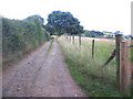 Track, to Raddon Hill Farm