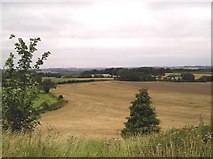 SE7865 : Farmland, Burythorpe by JThomas
