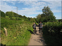 ST1187 : Taff Trail (NCN route 8) near Upper Boat by Gareth James