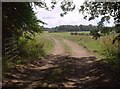 Track into field near Grateley Lodge