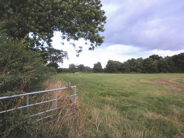 Pasture land, near Nettacott