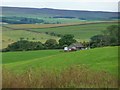 Bungalow below Carterway Heads