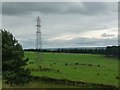 Pylon in field