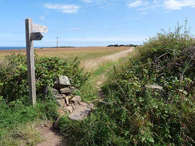 St Oswald's Way near Waren Caravan Park © Oliver Dixon :: Geograph ...