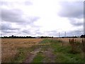 Bridleway and path cross near Abbotsfield Farm