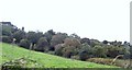 Wooded slope above Glyn-y-Weddw