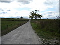 The  road  out  from  Great  Carr  Farm