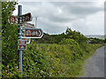 V6444 : Signpost, Clonglaskan by Eileen Henderson