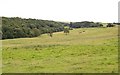 The Nanhoron Valley south of the Llaniestyn road