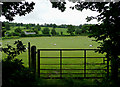 Farm land north of Cellan, Ceredigion