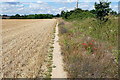 Footpath towards Budgenor