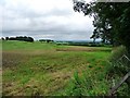 Muddy field at Lingy Hill