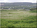 Grassy field near West Ardhu