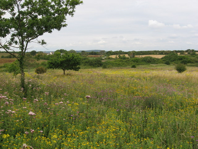 Lavernock Point nature reserve © Gareth James cc-by-sa/2.0 :: Geograph ...