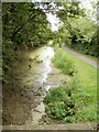 Disused canal reduced to a trickle