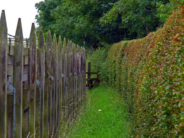 Footpath adjacent to Stainsby Hall Farm