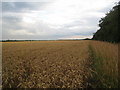 View towards Neatgangs Lane