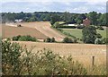 Harvesting at Allington