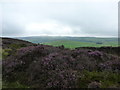 SK2080 : Heather on Abney Moor by Peter Barr
