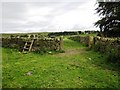 Ladder stile at Gingle Pot