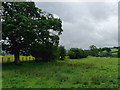 Farm land near Tynreithin, Ceredigion