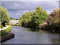 Bridgewater Canal, Runcorn Arm