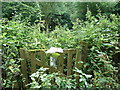 The padlocked gate to Trellech blast furnace